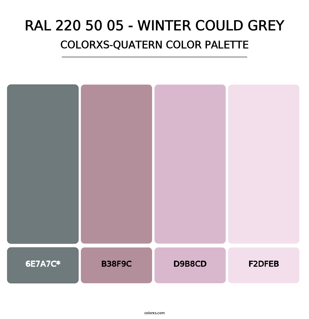 RAL 220 50 05 - Winter Could Grey - Colorxs Quatern Palette