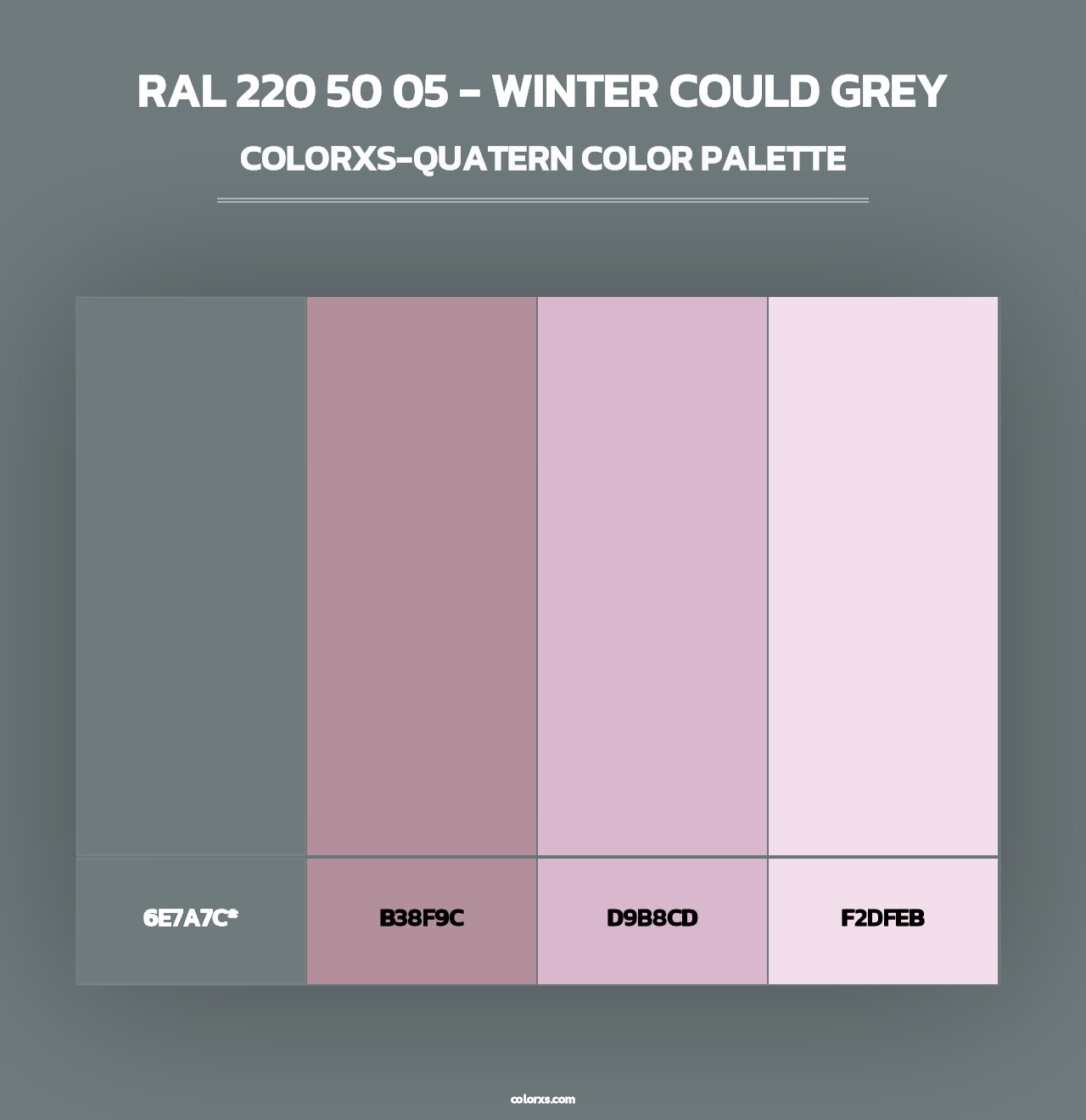 RAL 220 50 05 - Winter Could Grey - Colorxs Quad Palette
