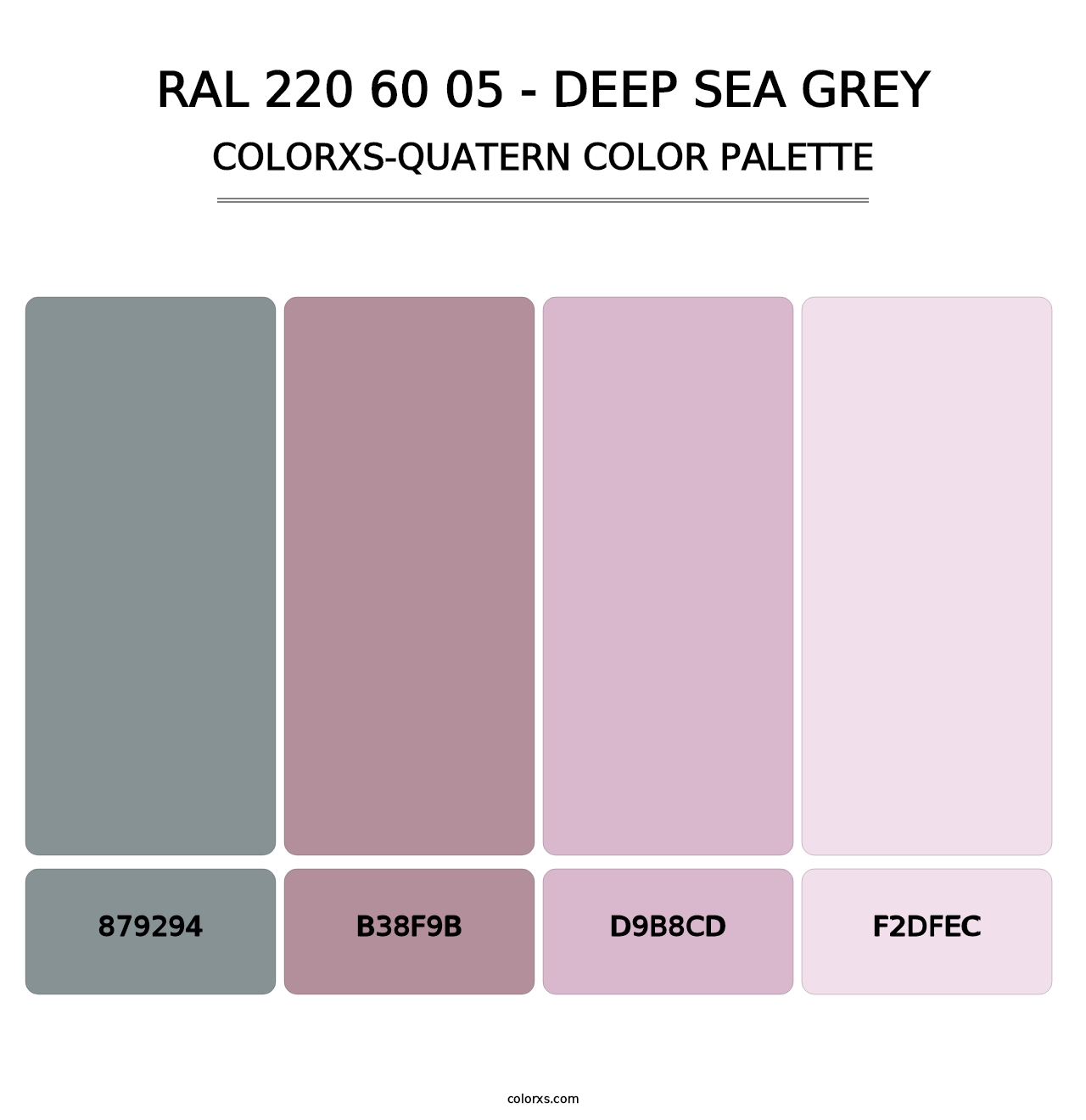 RAL 220 60 05 - Deep Sea Grey - Colorxs Quatern Palette