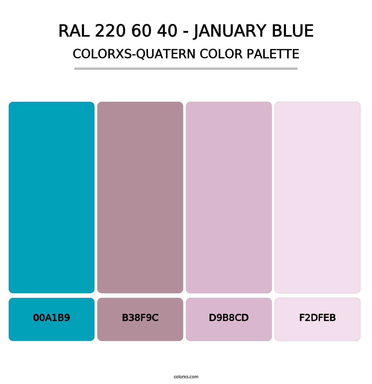 RAL 220 60 40 - January Blue - Colorxs Quatern Palette