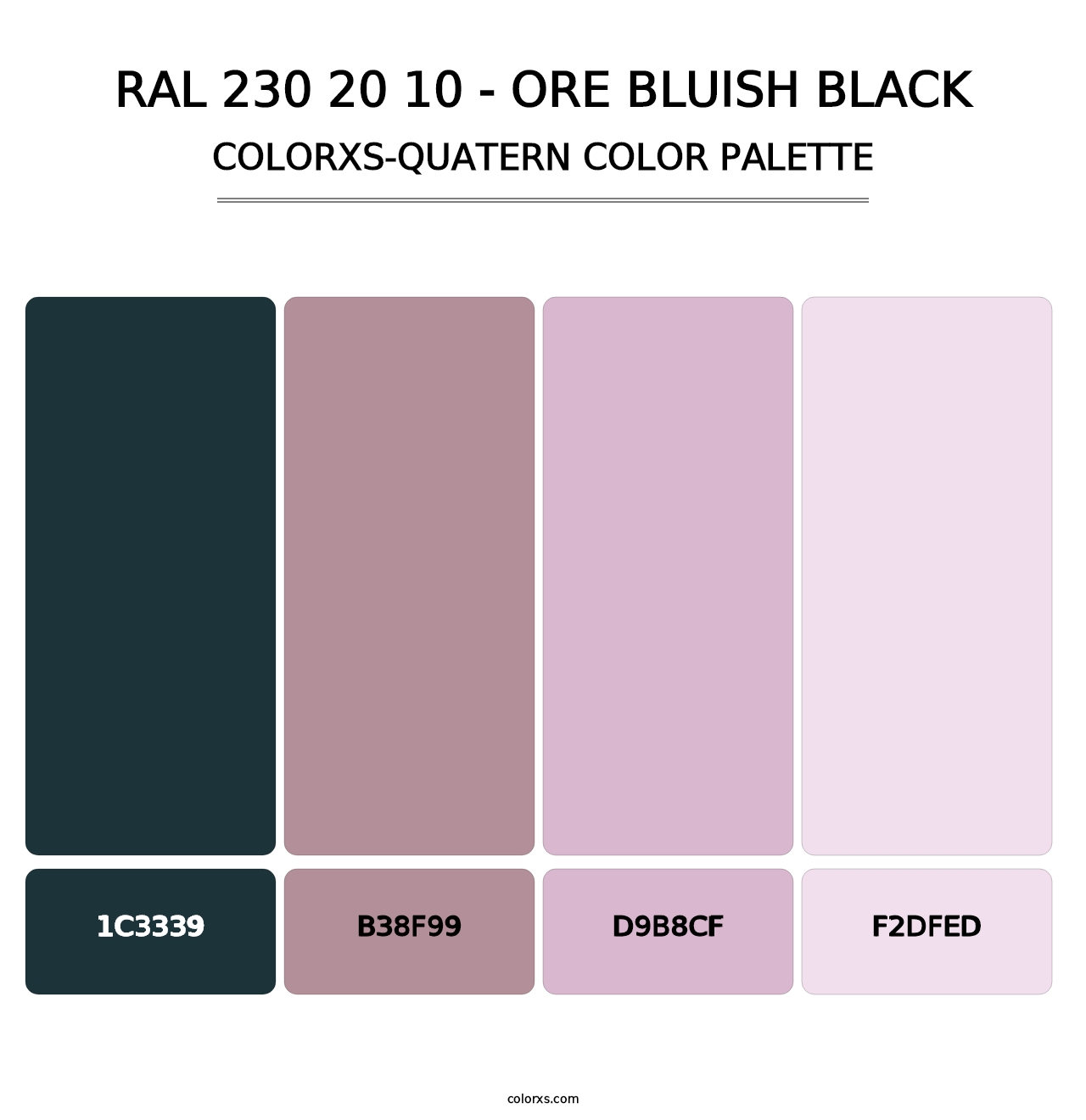 RAL 230 20 10 - Ore Bluish Black - Colorxs Quatern Palette