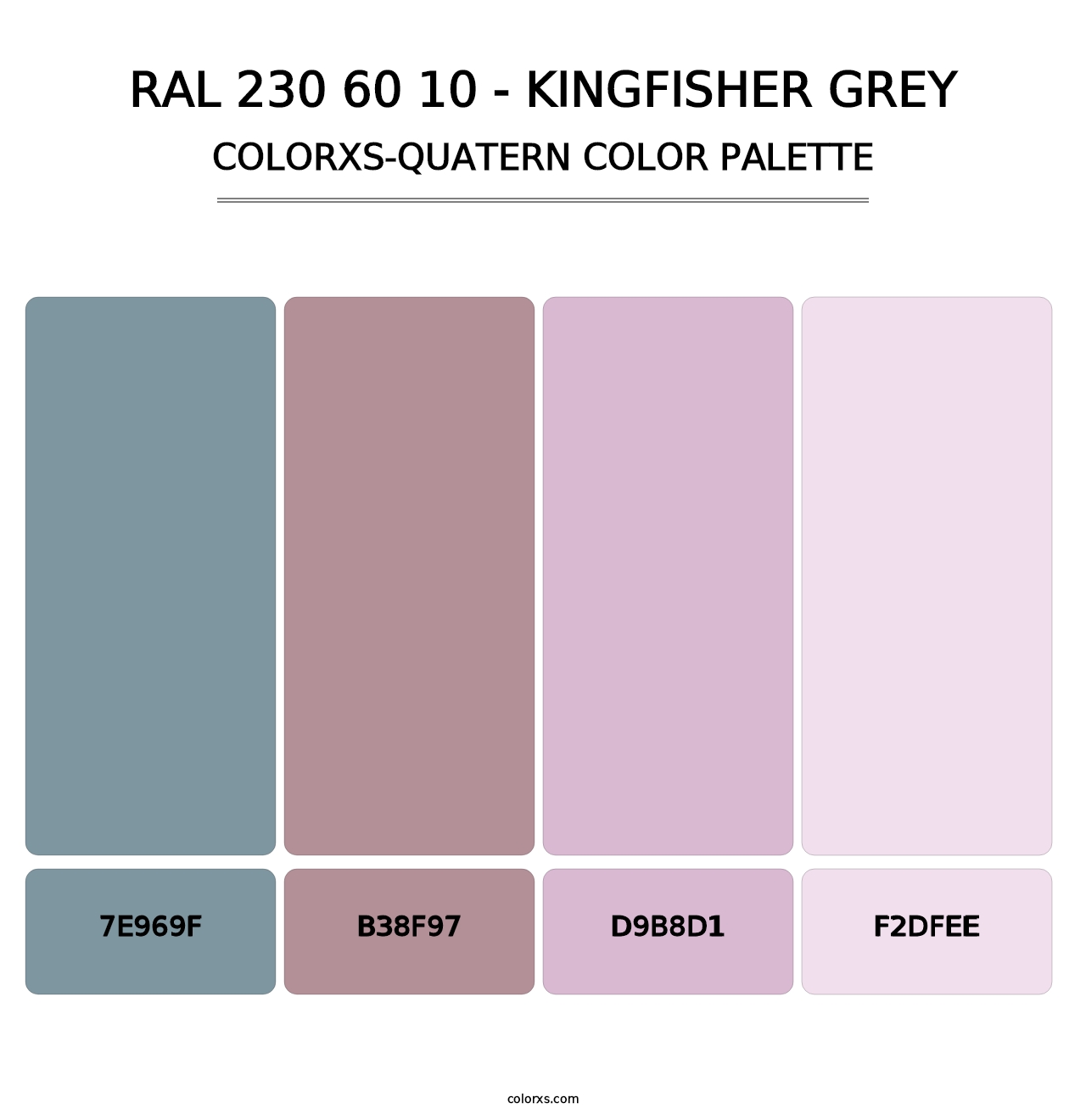RAL 230 60 10 - Kingfisher Grey - Colorxs Quatern Palette
