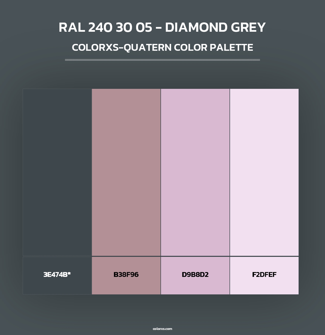 RAL 240 30 05 - Diamond Grey - Colorxs Quad Palette