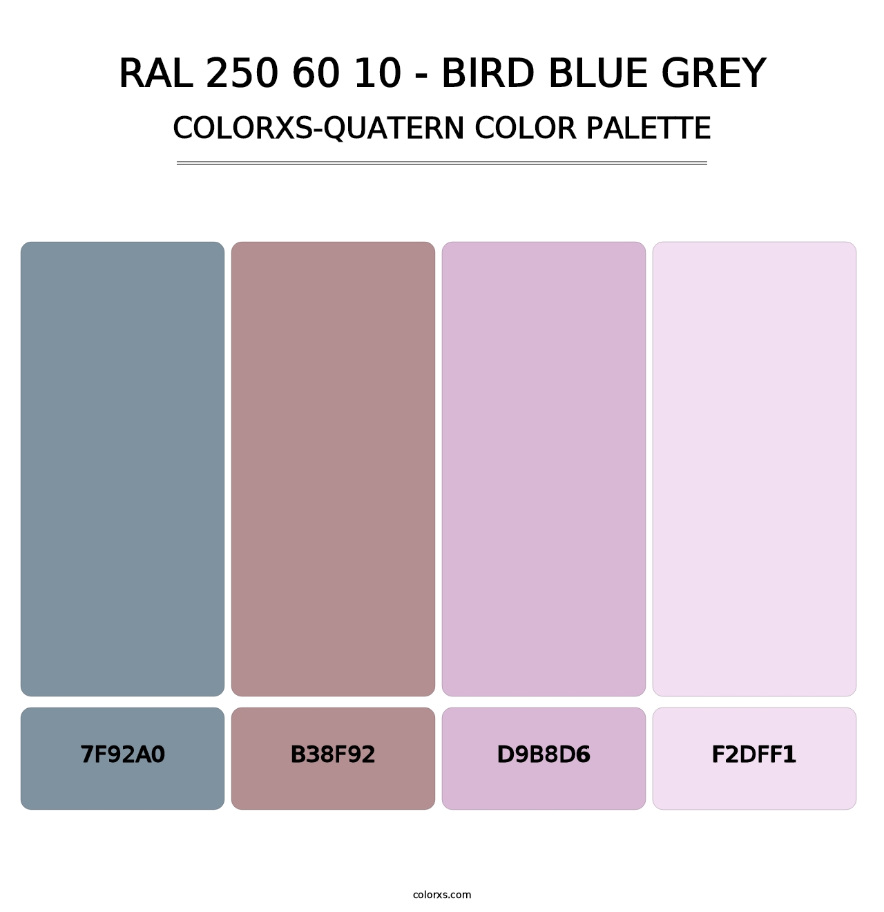RAL 250 60 10 - Bird Blue Grey - Colorxs Quatern Palette