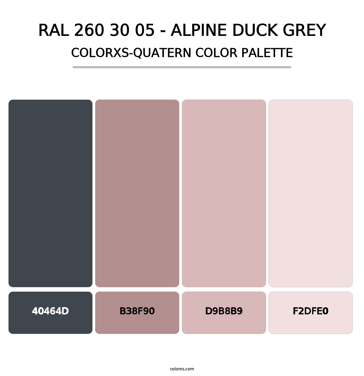 RAL 260 30 05 - Alpine Duck Grey - Colorxs Quatern Palette