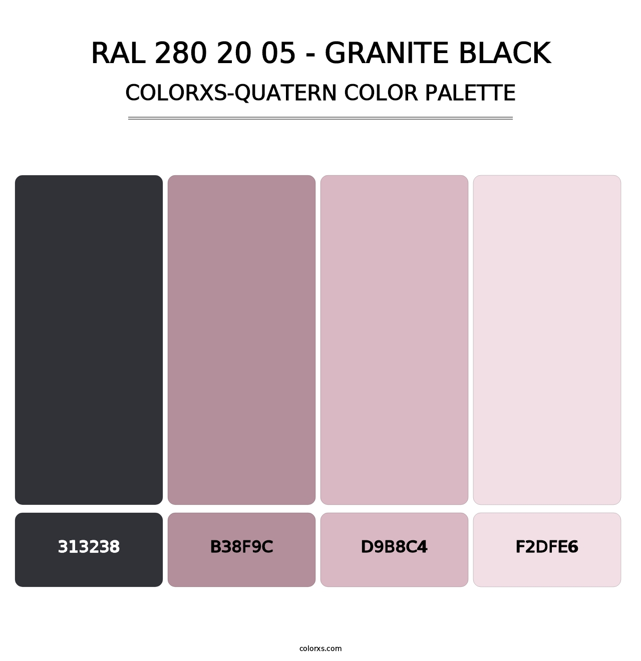 RAL 280 20 05 - Granite Black - Colorxs Quatern Palette