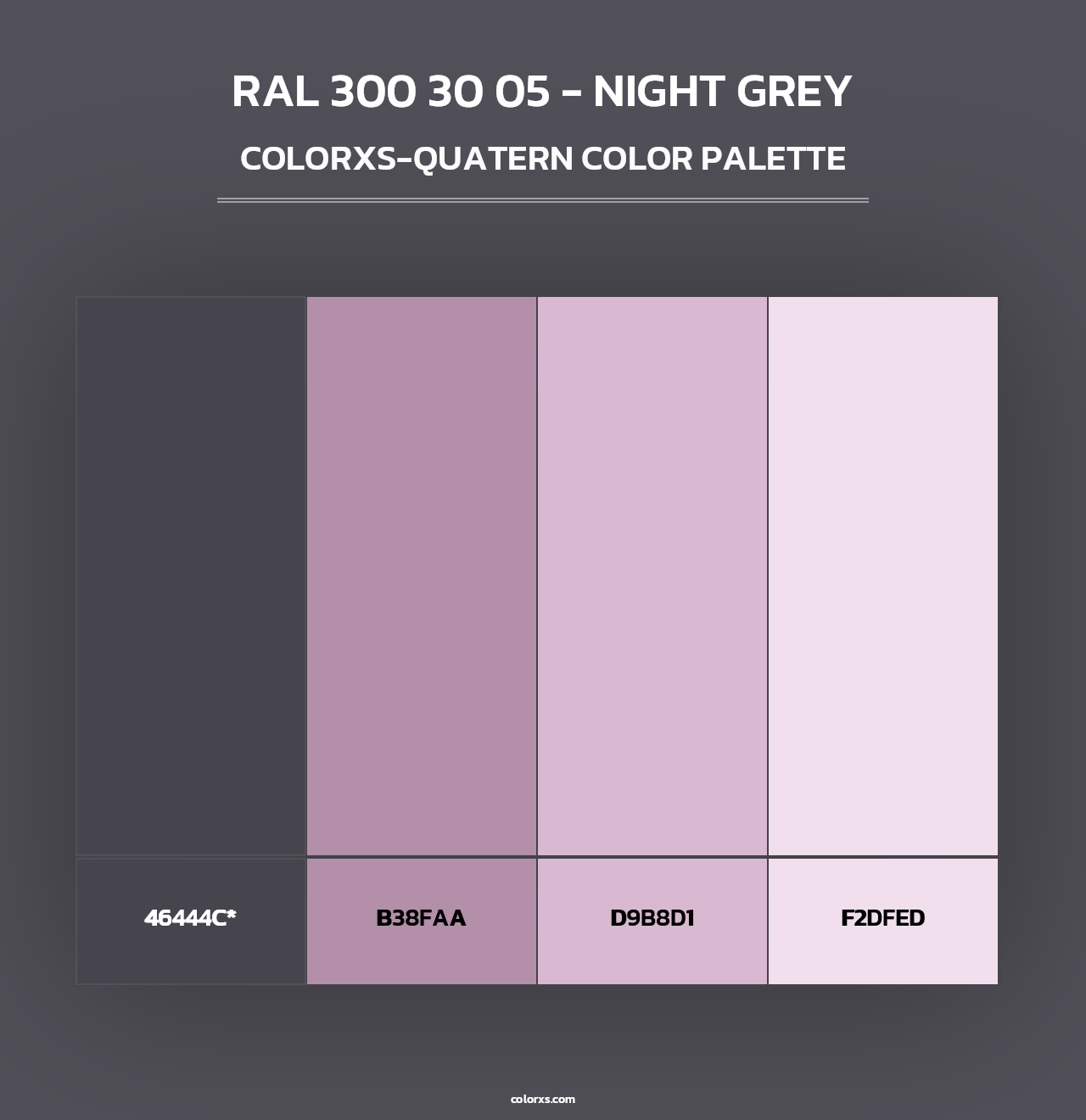 RAL 300 30 05 - Night Grey - Colorxs Quad Palette