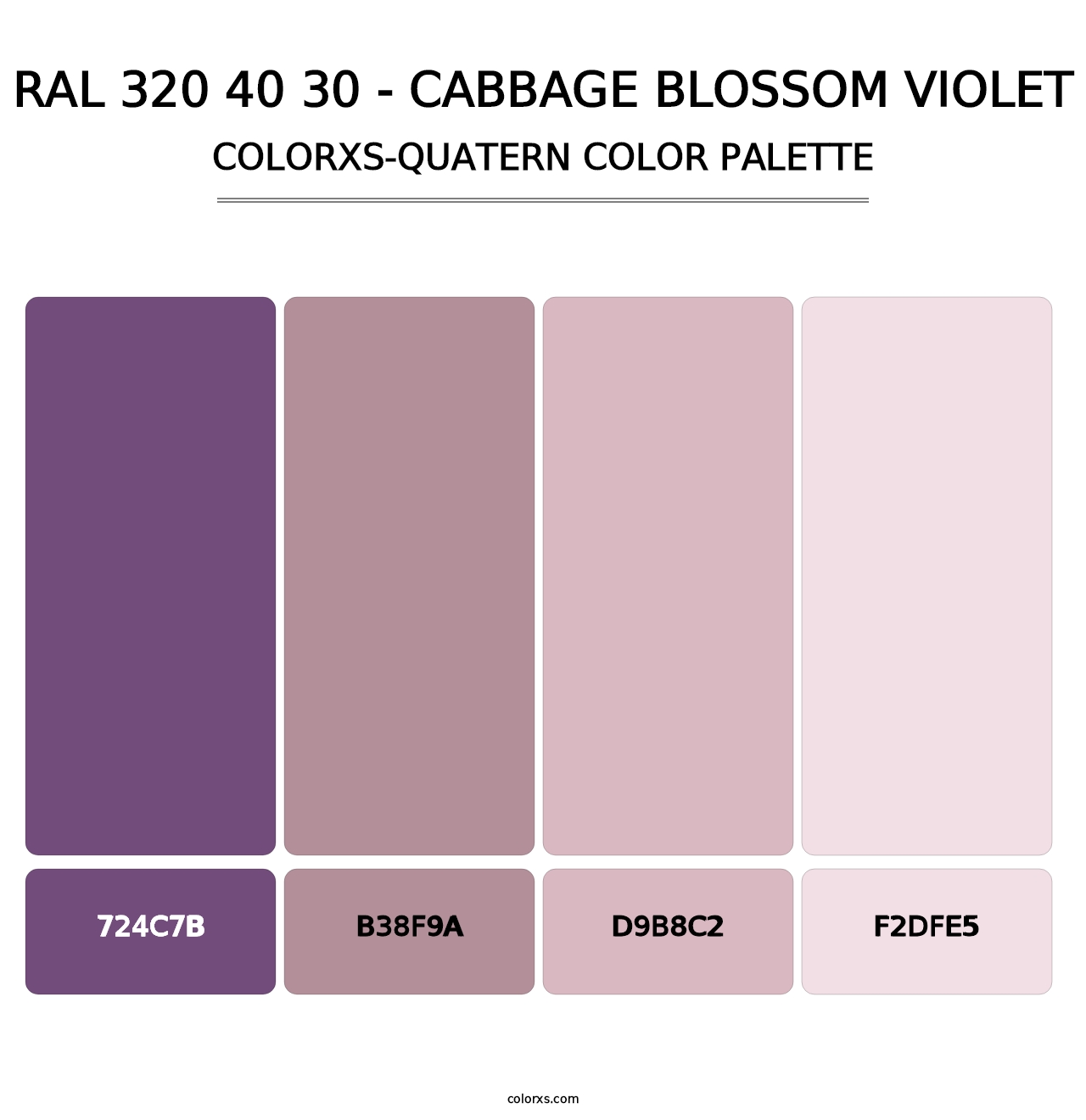 RAL 320 40 30 - Cabbage Blossom Violet - Colorxs Quatern Palette