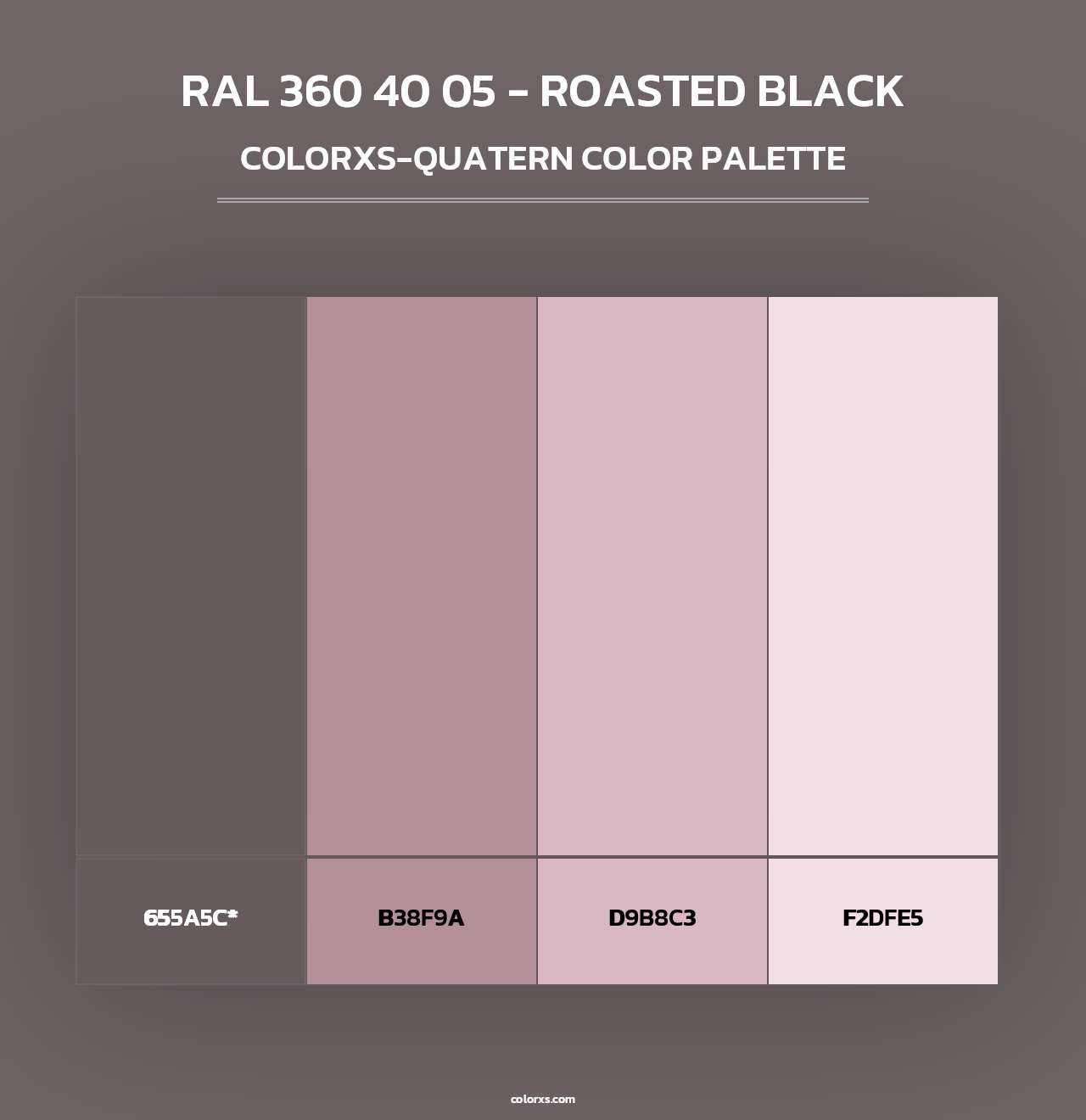 RAL 360 40 05 - Roasted Black - Colorxs Quad Palette