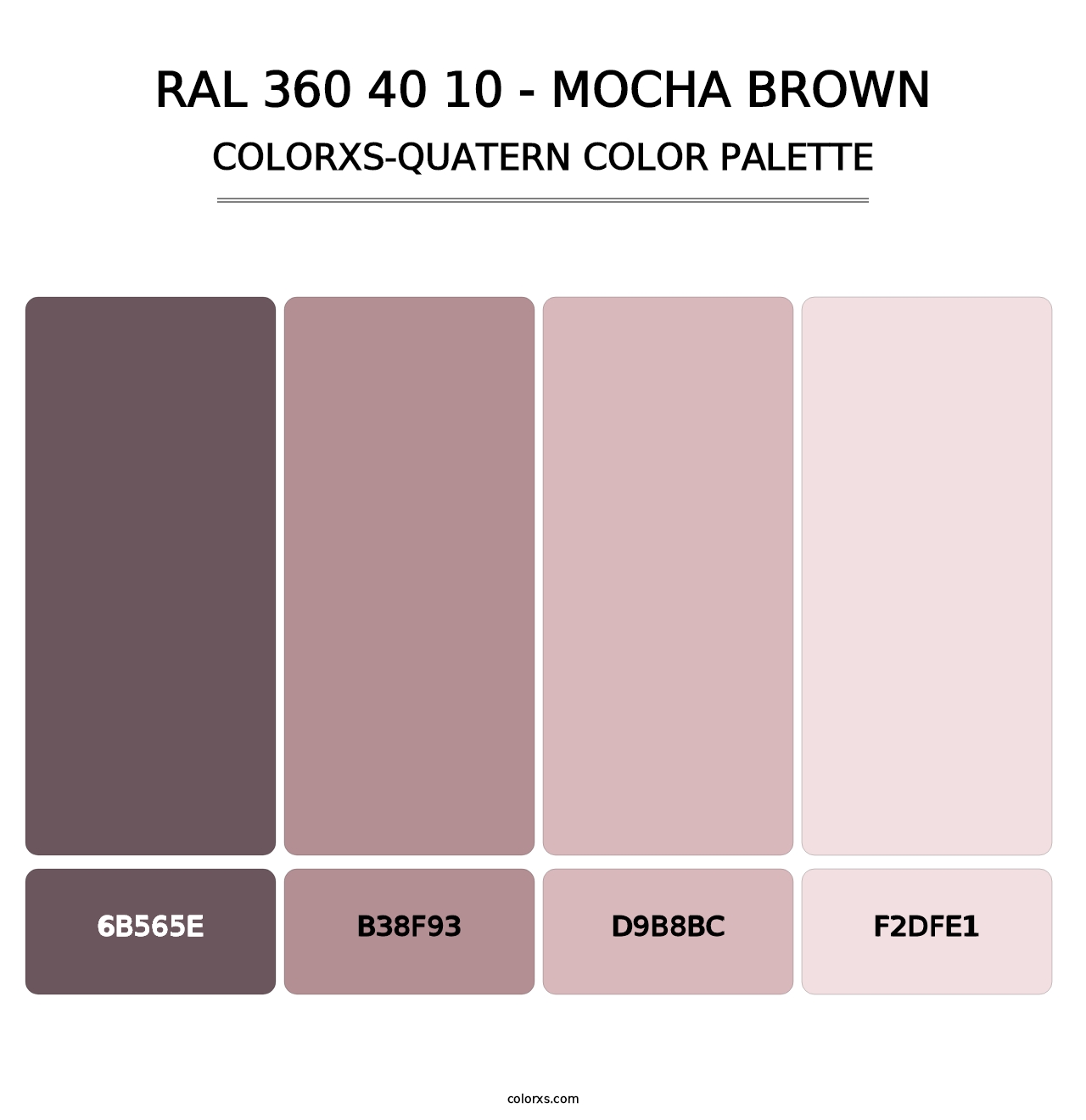 RAL 360 40 10 - Mocha Brown - Colorxs Quatern Palette