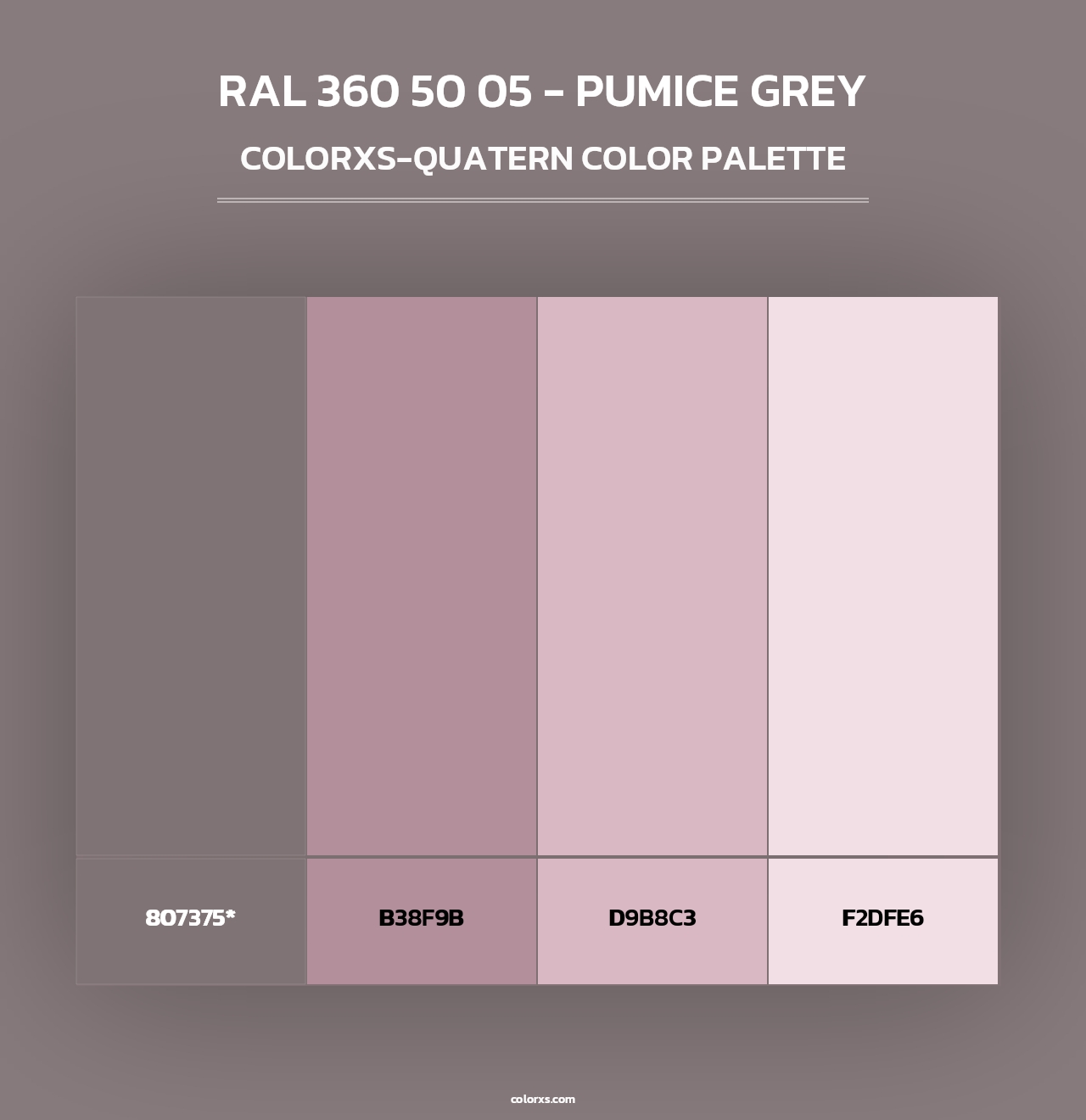 RAL 360 50 05 - Pumice Grey - Colorxs Quad Palette