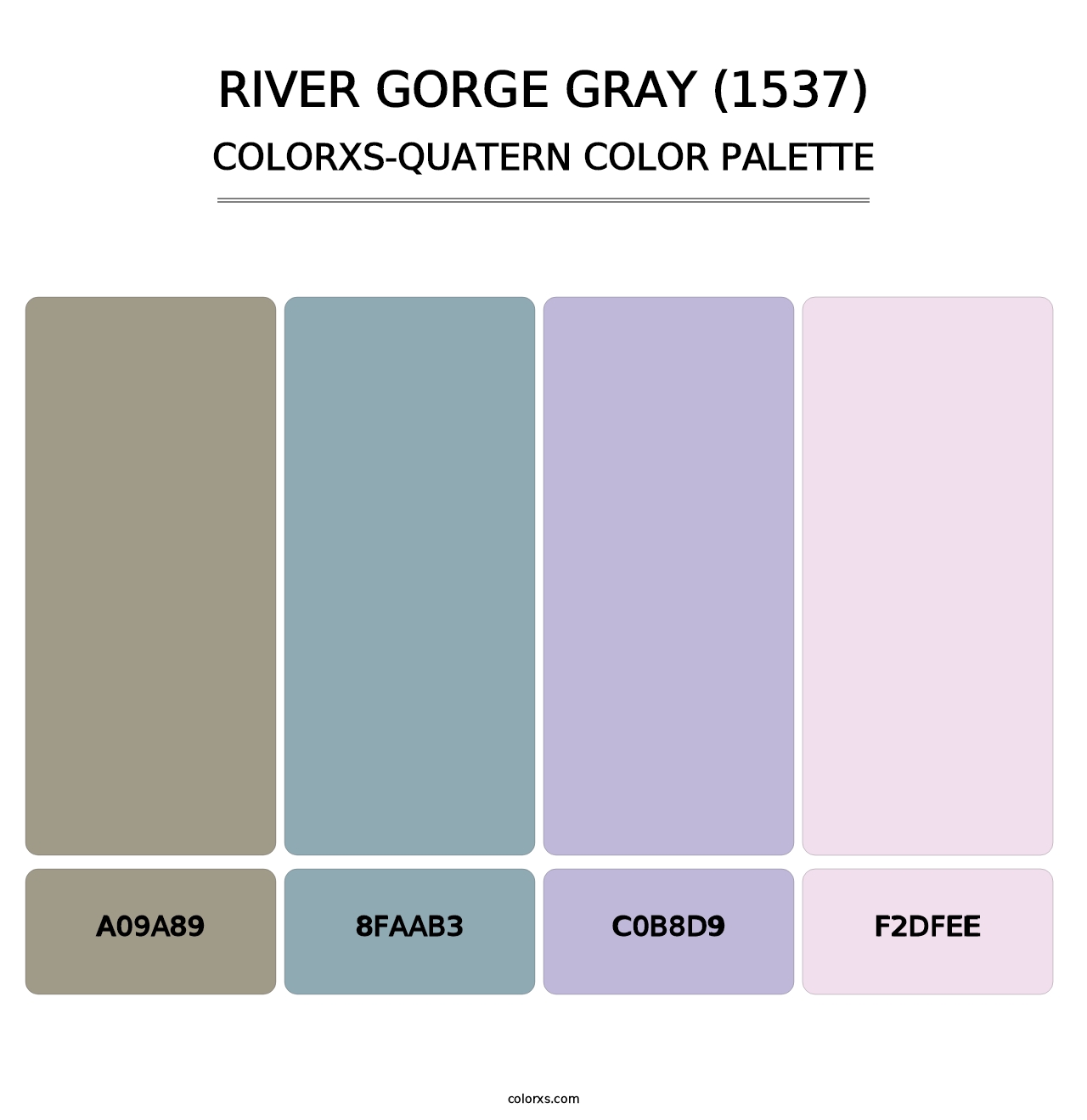 River Gorge Gray (1537) - Colorxs Quatern Palette
