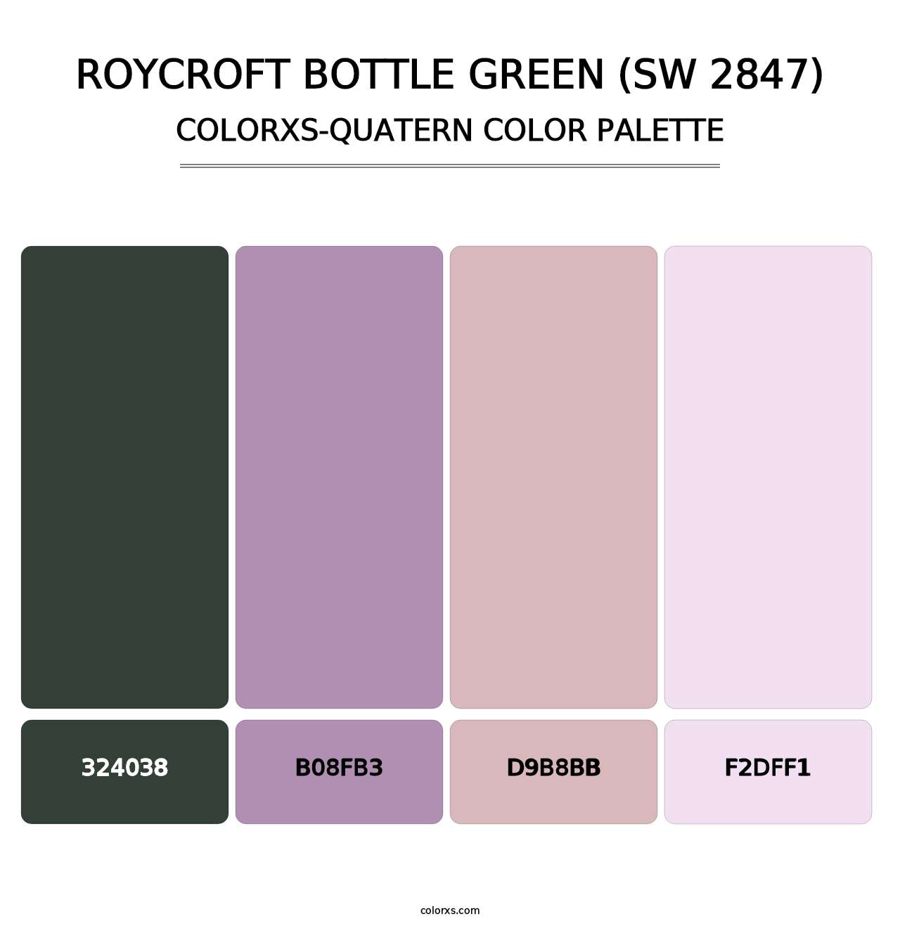 Roycroft Bottle Green (SW 2847) - Colorxs Quatern Palette
