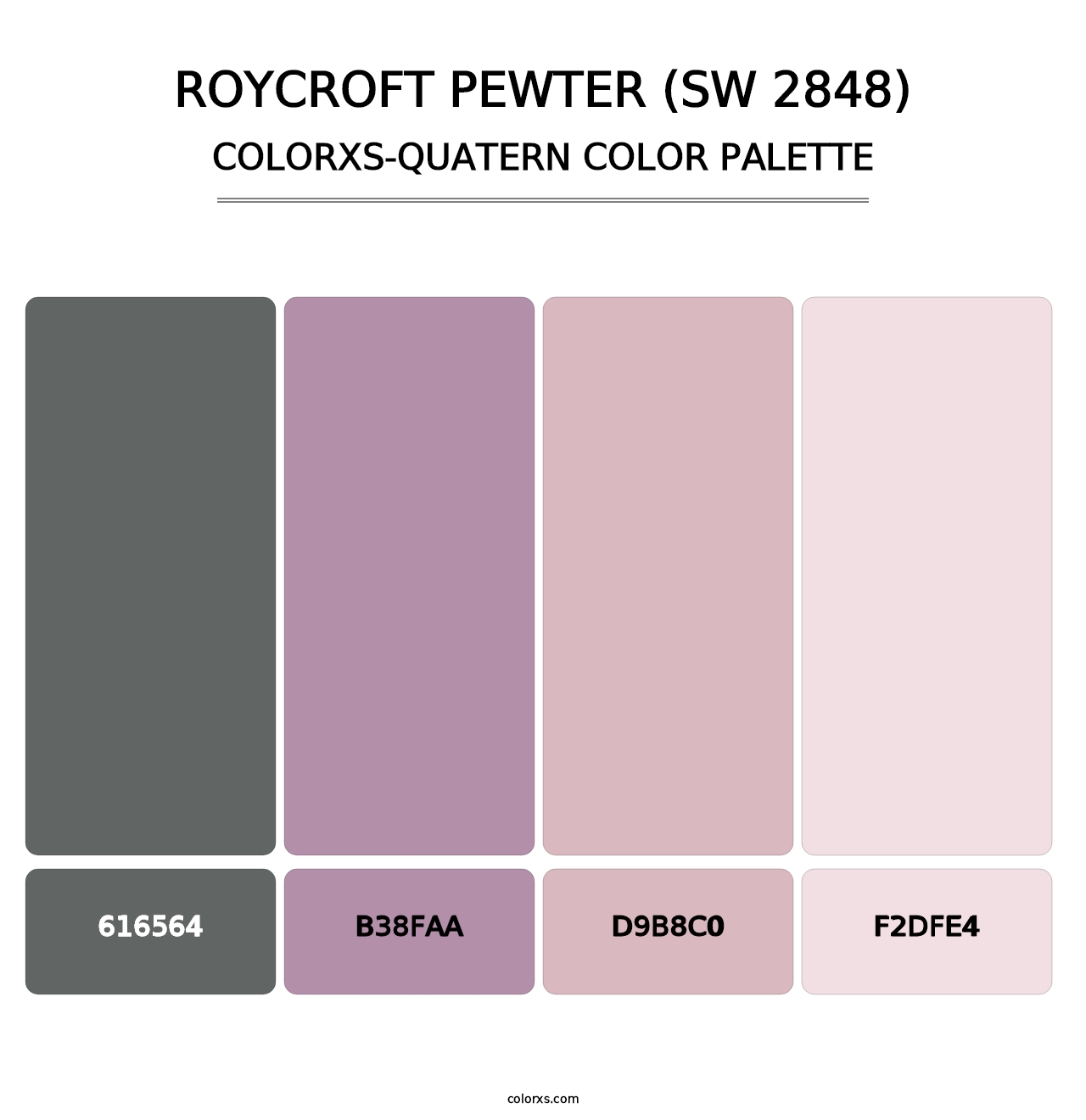 Roycroft Pewter (SW 2848) - Colorxs Quatern Palette