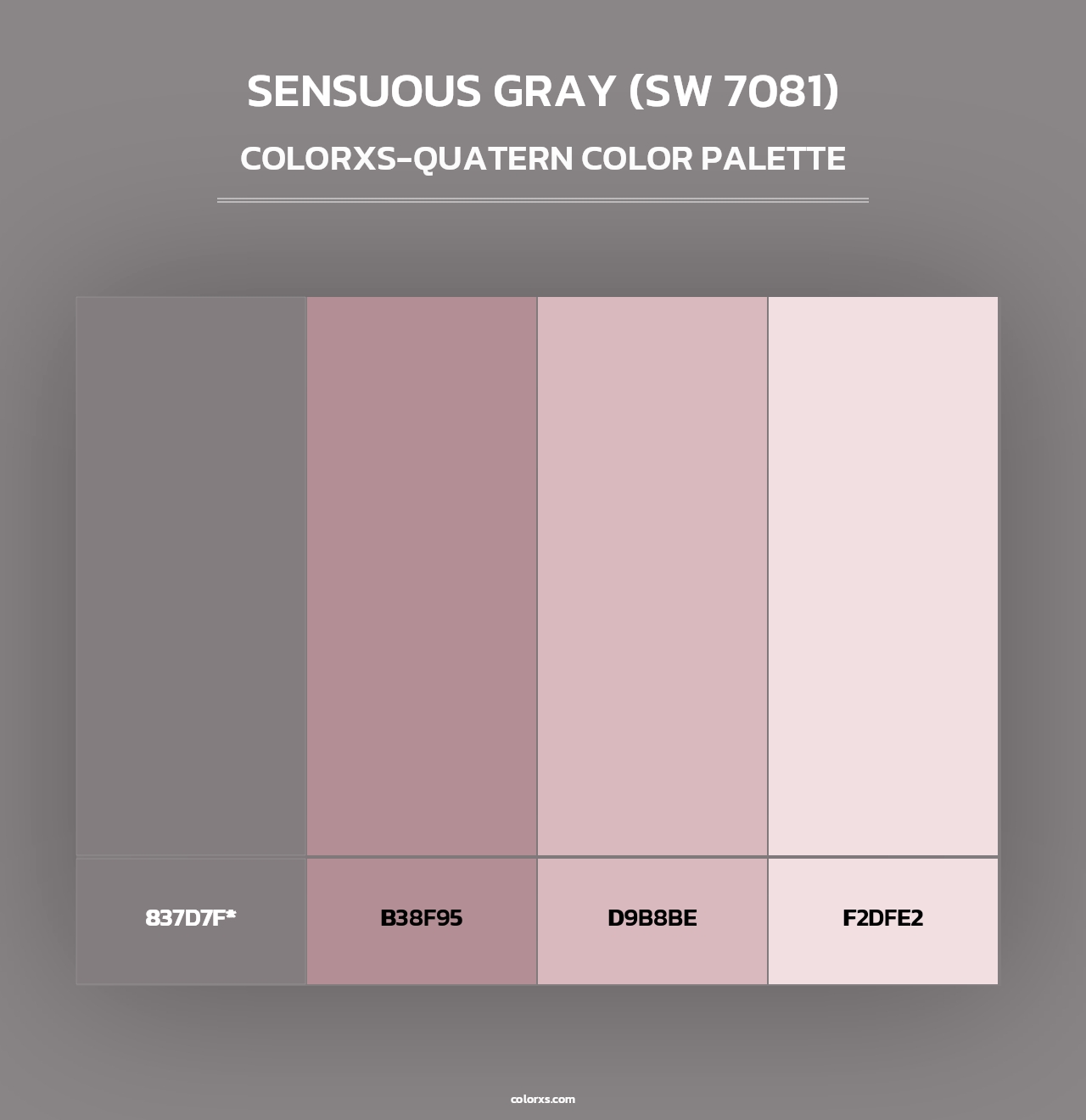 Sensuous Gray (SW 7081) - Colorxs Quad Palette