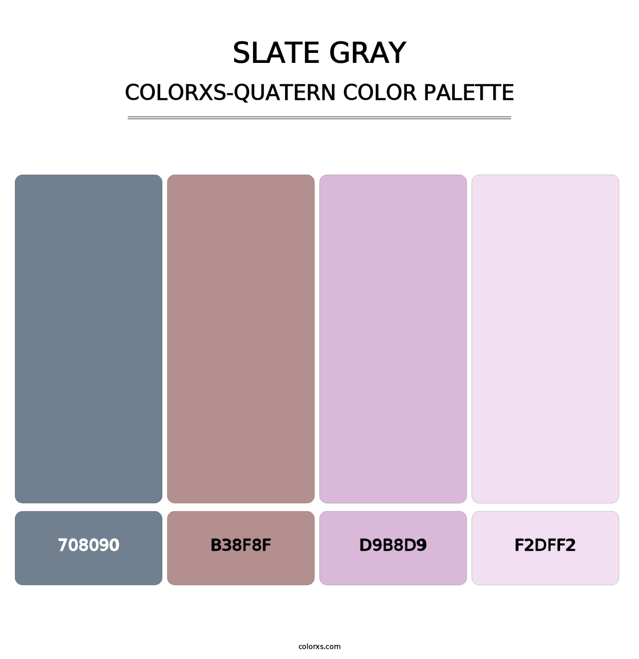 Slate Gray - Colorxs Quatern Palette