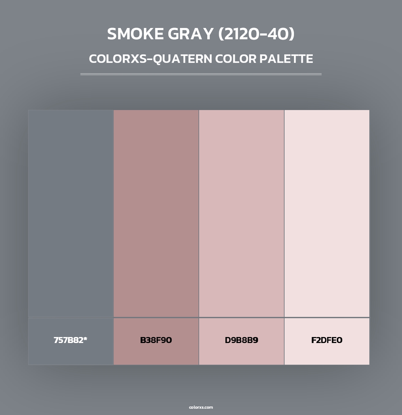 Smoke Gray (2120-40) - Colorxs Quad Palette