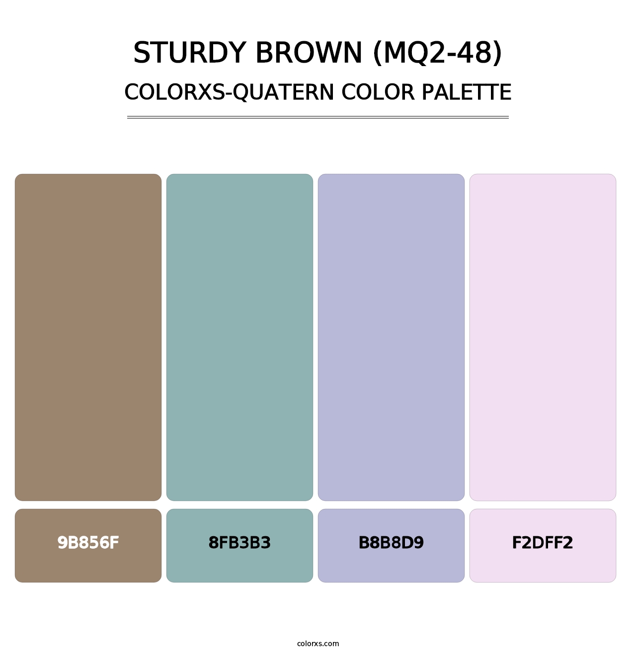 Sturdy Brown (MQ2-48) - Colorxs Quatern Palette