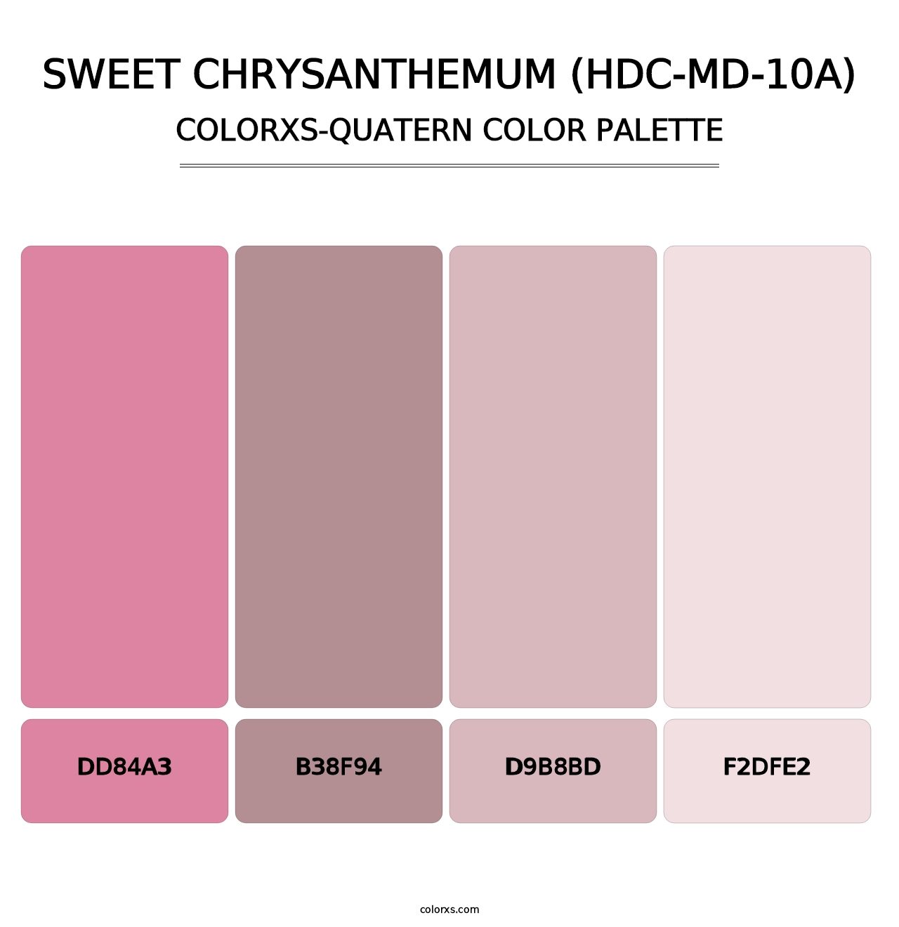 Sweet Chrysanthemum (HDC-MD-10A) - Colorxs Quatern Palette