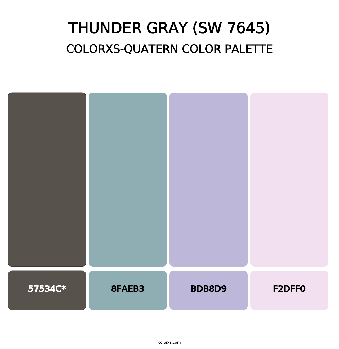 Thunder Gray (SW 7645) - Colorxs Quatern Palette