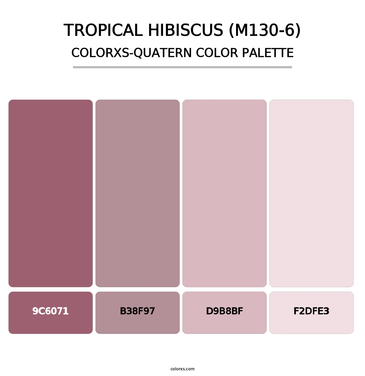 Tropical Hibiscus (M130-6) - Colorxs Quatern Palette