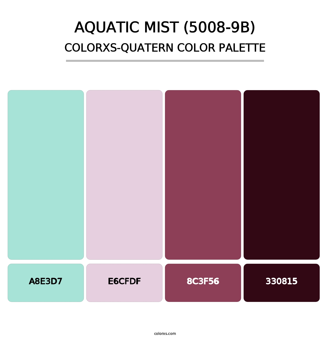 Aquatic Mist (5008-9B) - Colorxs Quatern Palette