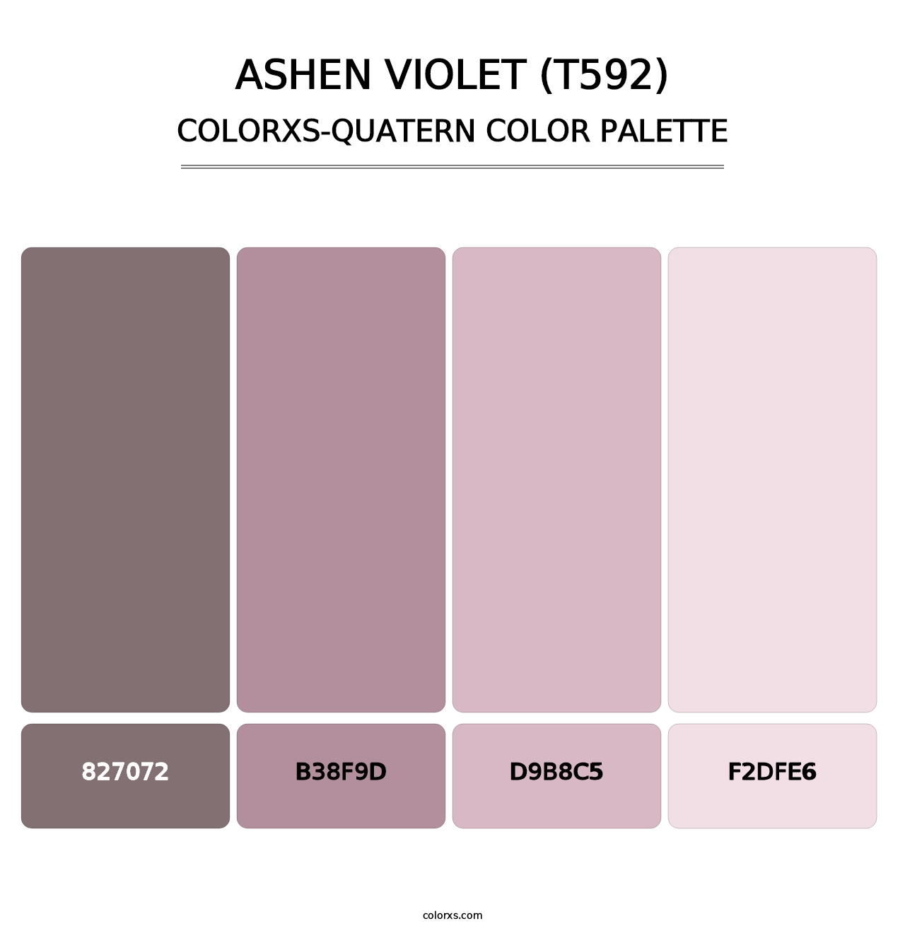 Ashen Violet (T592) - Colorxs Quatern Palette