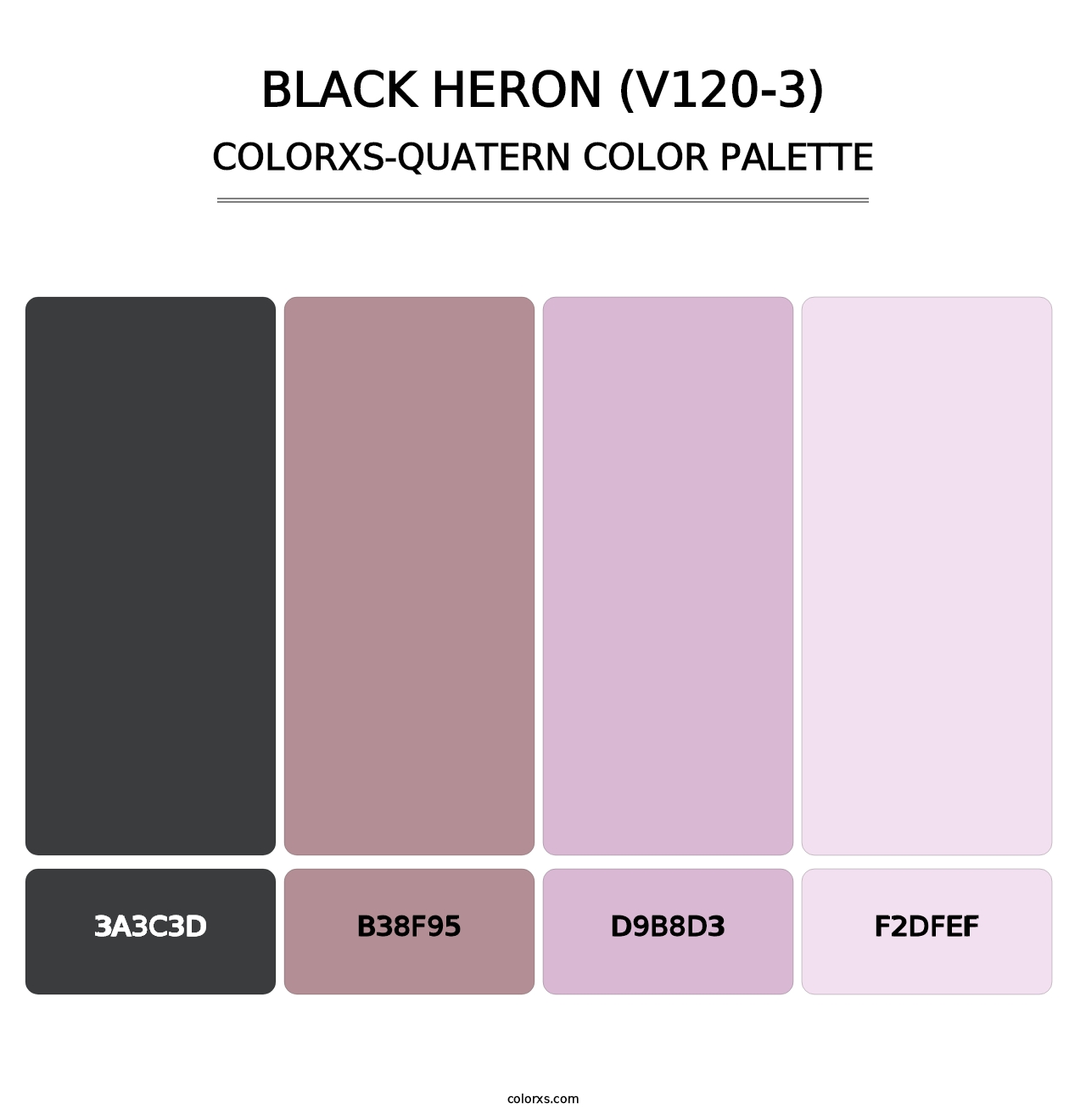 Black Heron (V120-3) - Colorxs Quatern Palette