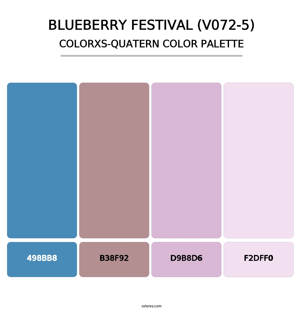 Blueberry Festival (V072-5) - Colorxs Quatern Palette