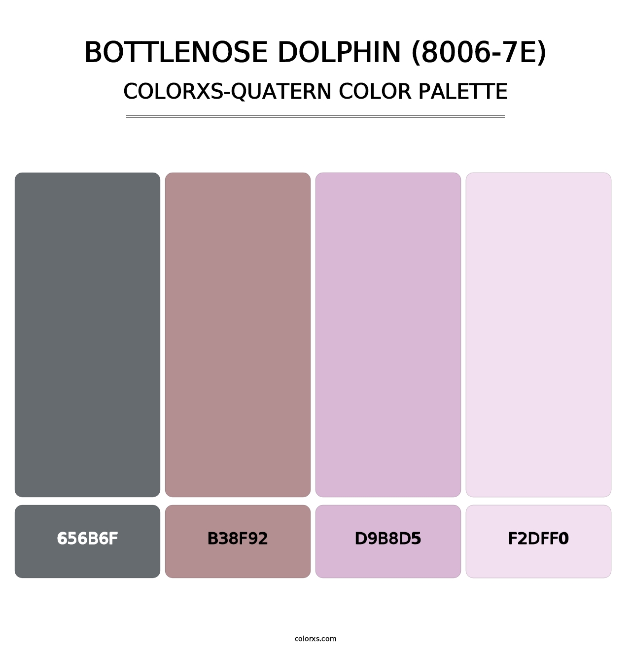 Bottlenose Dolphin (8006-7E) - Colorxs Quatern Palette