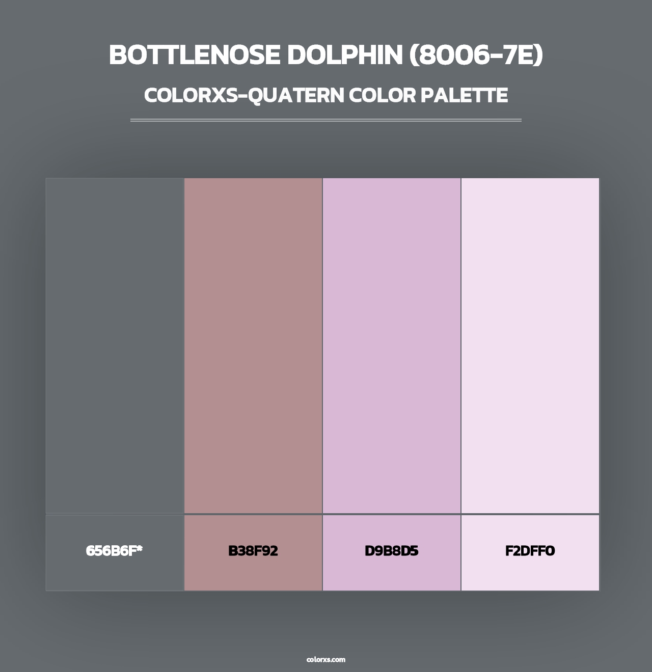 Bottlenose Dolphin (8006-7E) - Colorxs Quad Palette
