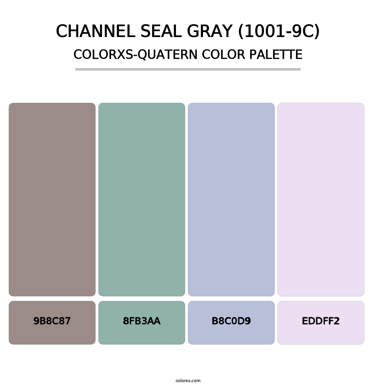 Channel Seal Gray (1001-9C) - Colorxs Quatern Palette