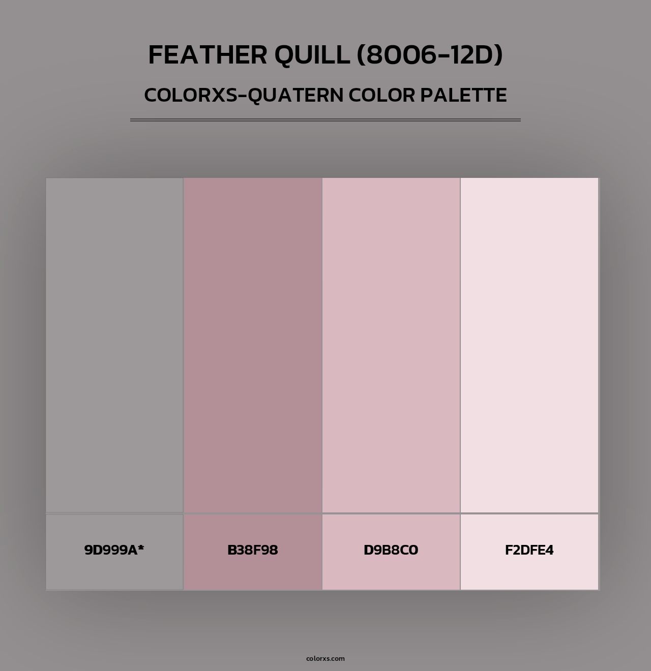 Feather Quill (8006-12D) - Colorxs Quad Palette