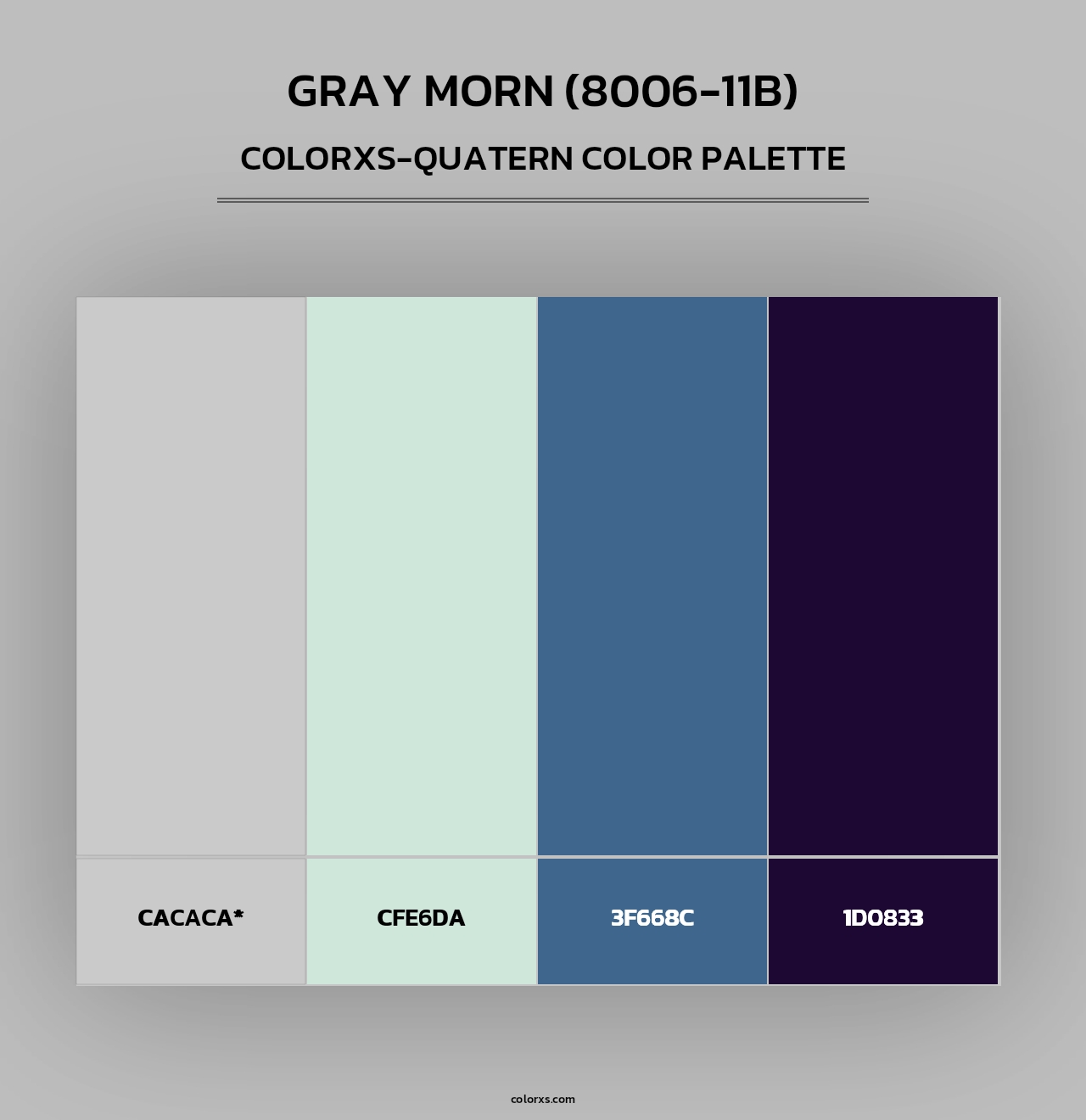 Gray Morn (8006-11B) - Colorxs Quad Palette