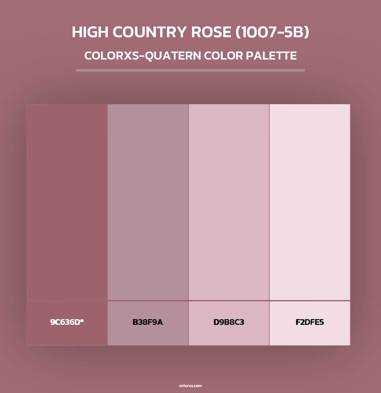High Country Rose (1007-5B) - Colorxs Quad Palette