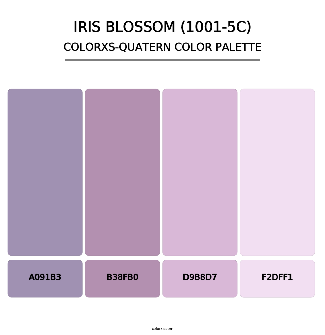 Iris Blossom (1001-5C) - Colorxs Quatern Palette