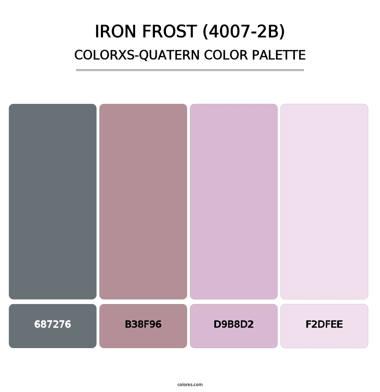 Iron Frost (4007-2B) - Colorxs Quatern Palette