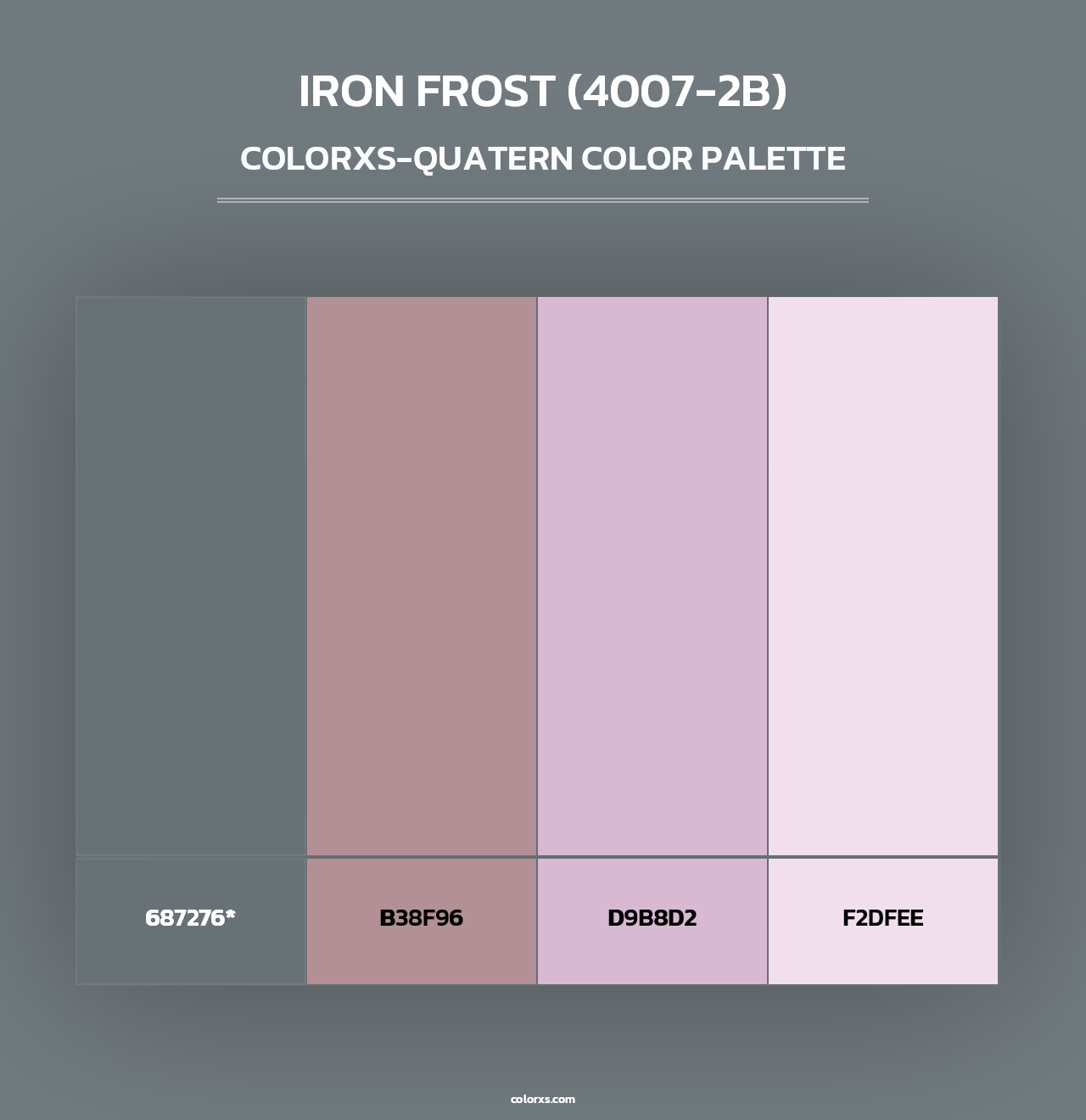 Iron Frost (4007-2B) - Colorxs Quad Palette