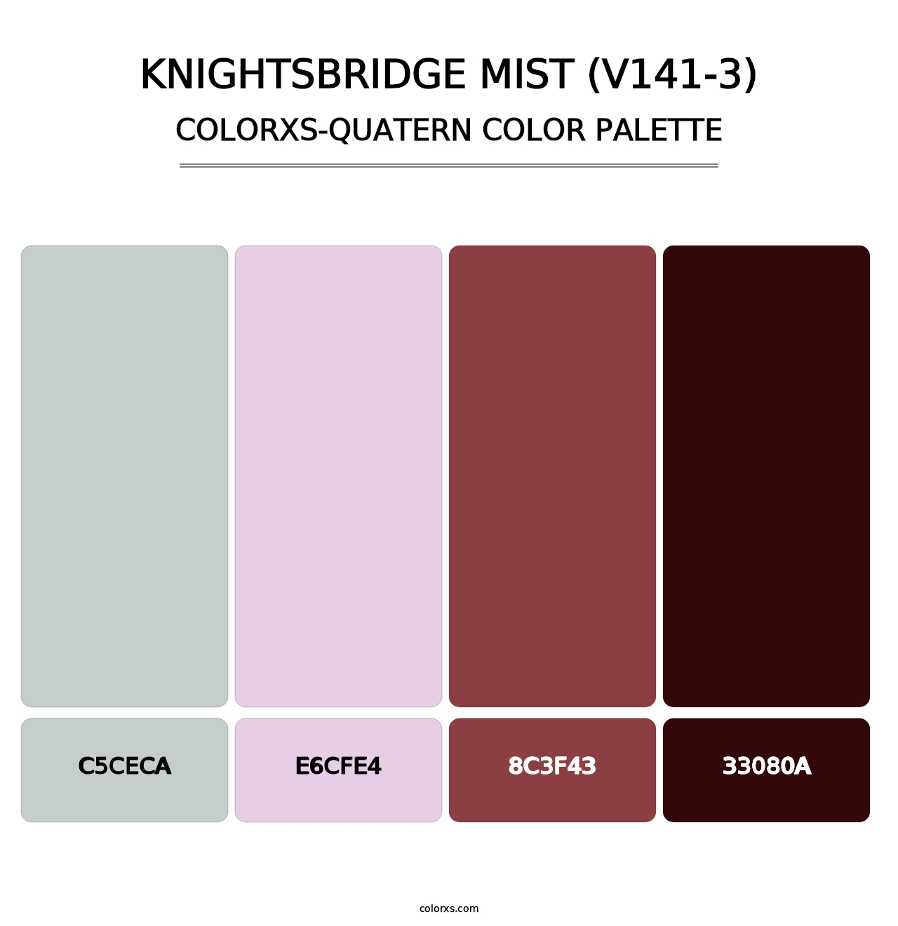 Knightsbridge Mist (V141-3) - Colorxs Quatern Palette