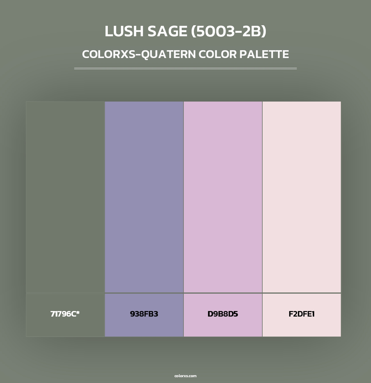 Lush Sage (5003-2B) - Colorxs Quad Palette