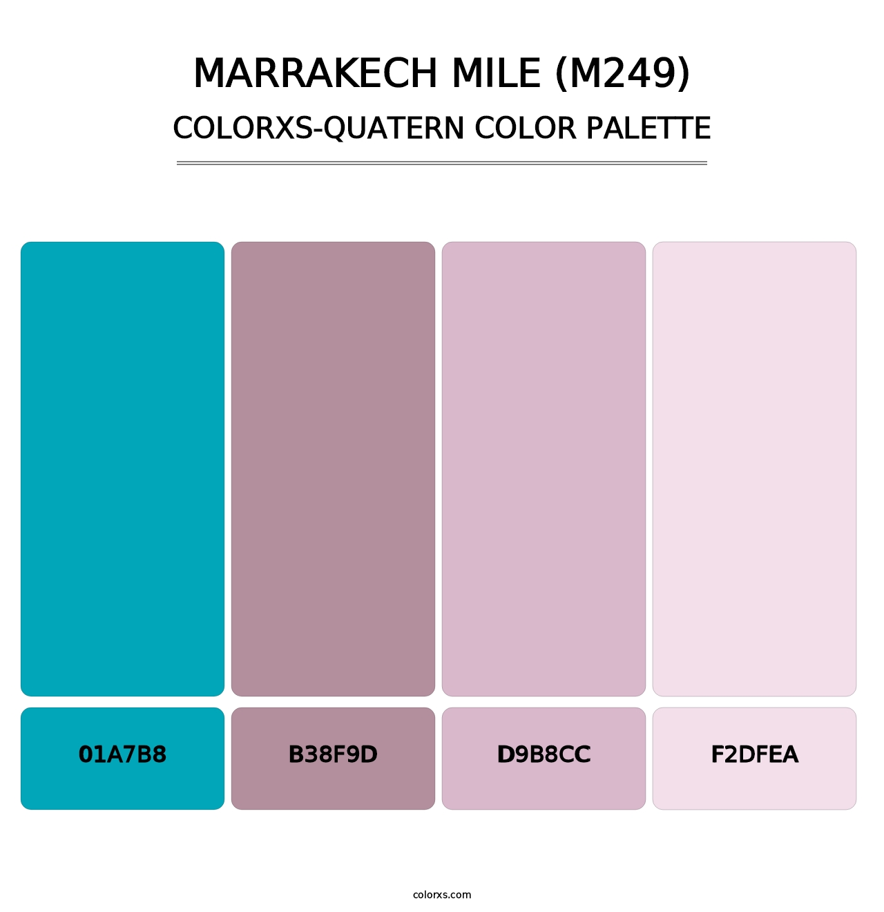 Marrakech Mile (M249) - Colorxs Quatern Palette