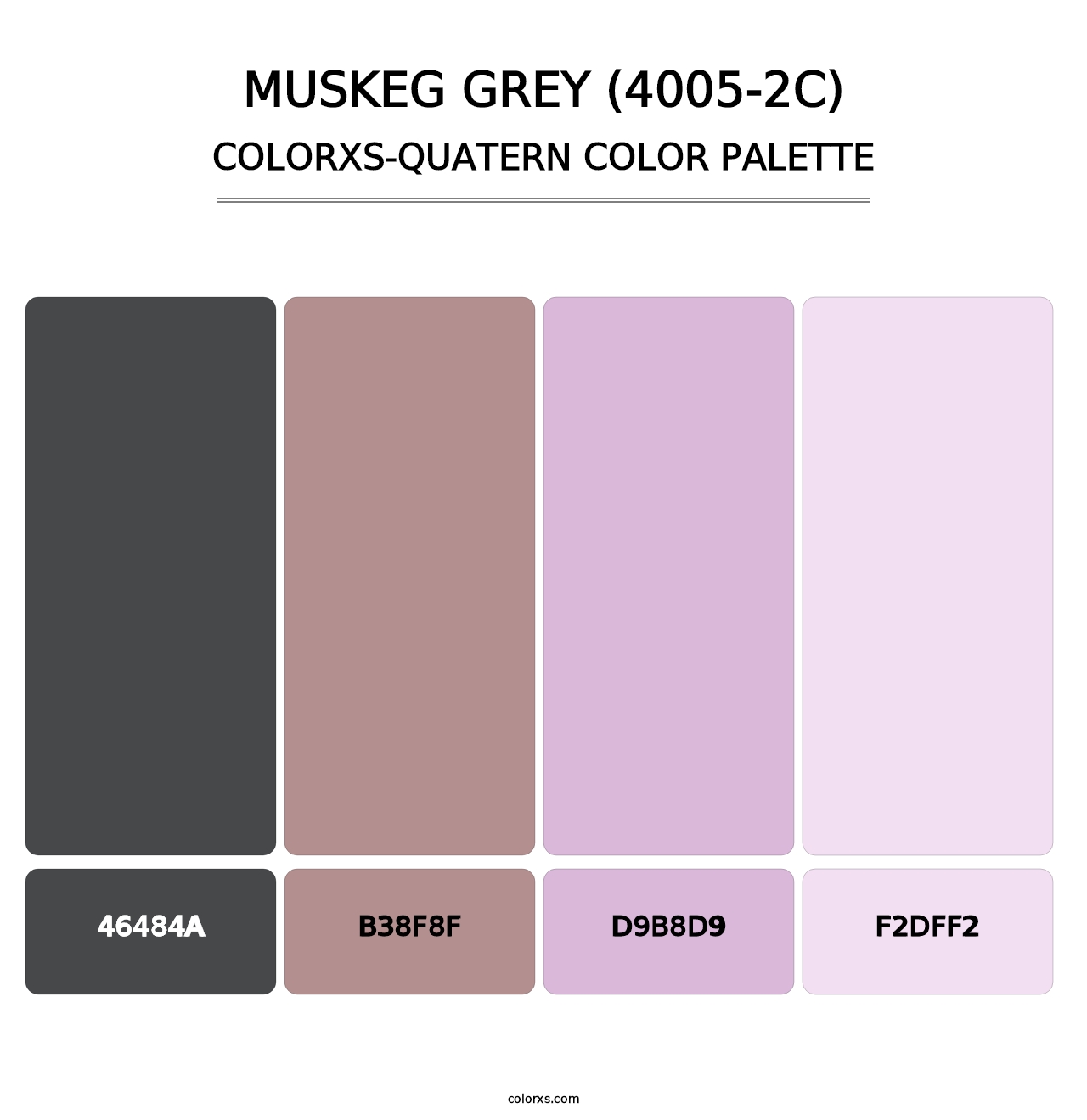 Muskeg Grey (4005-2C) - Colorxs Quatern Palette