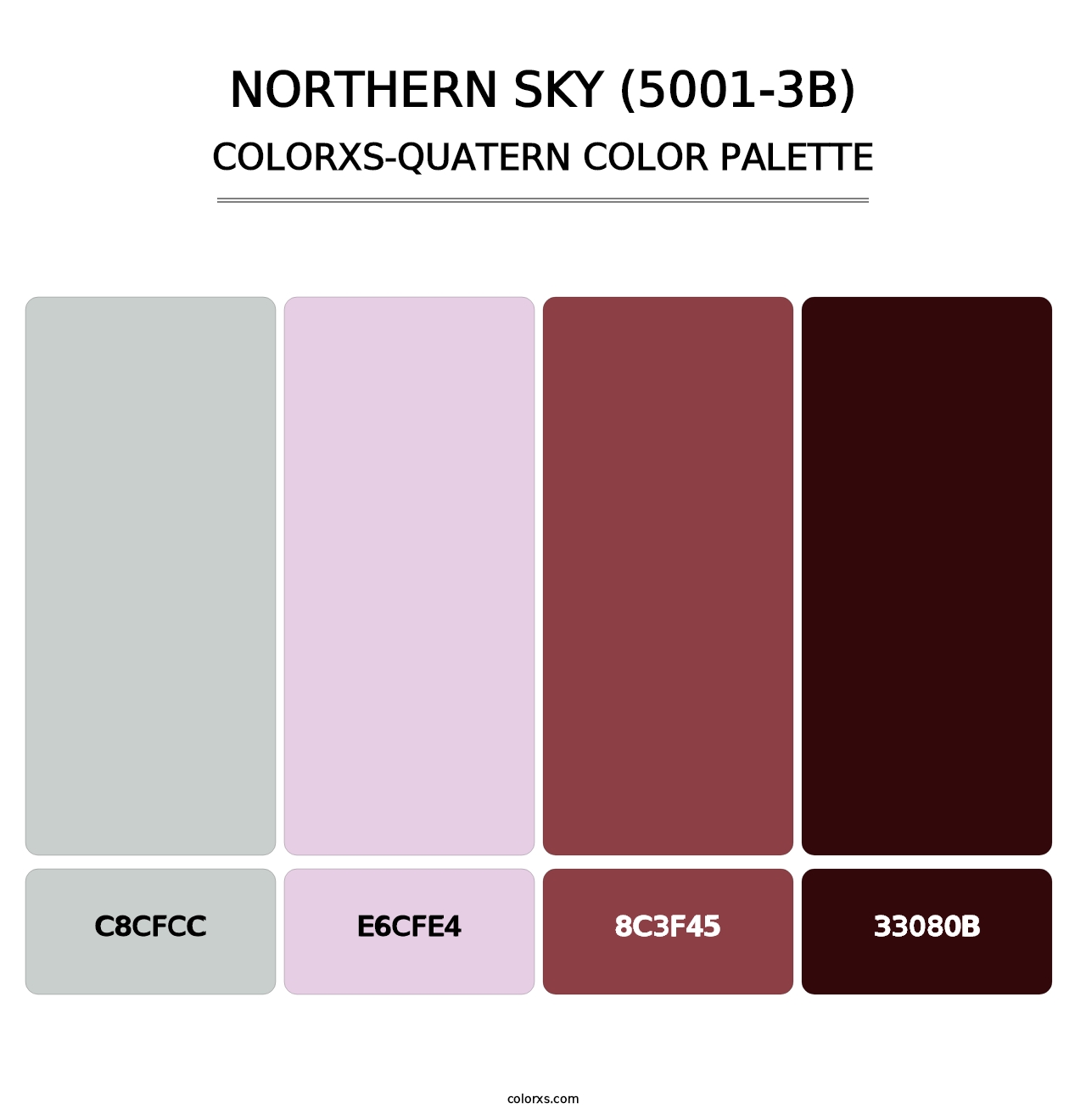 Northern Sky (5001-3B) - Colorxs Quatern Palette