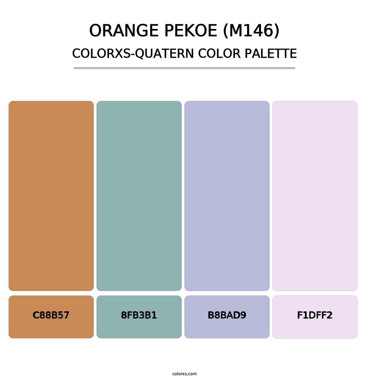 Orange Pekoe (M146) - Colorxs Quatern Palette