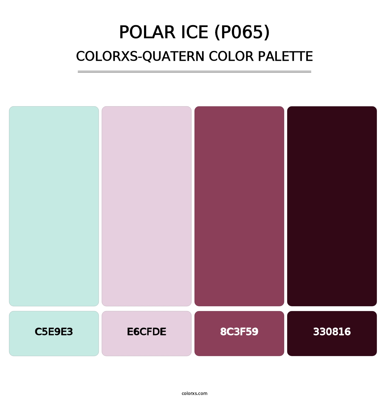 Polar Ice (P065) - Colorxs Quatern Palette