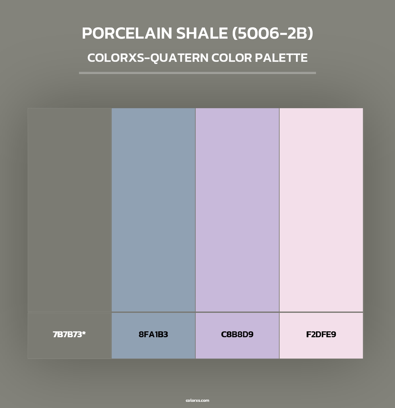 Porcelain Shale (5006-2B) - Colorxs Quad Palette