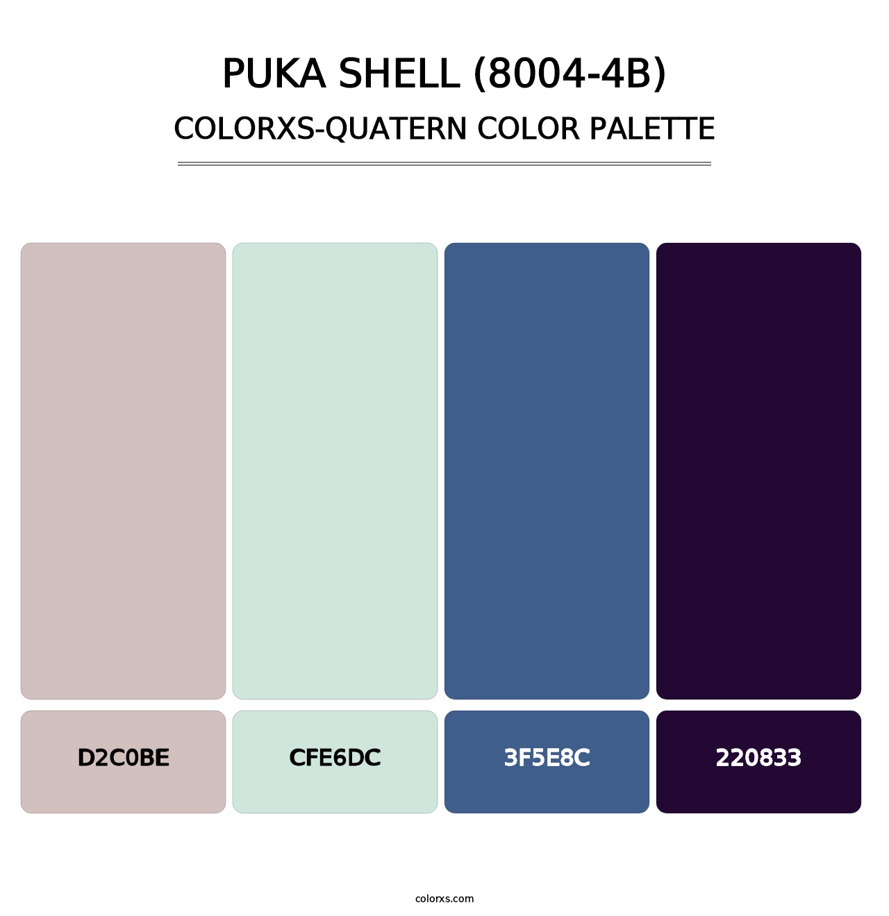 Puka Shell (8004-4B) - Colorxs Quatern Palette