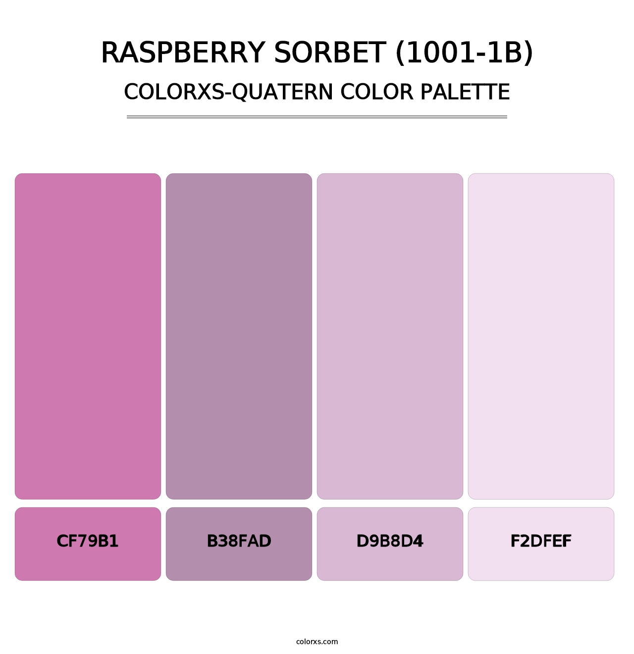 Raspberry Sorbet (1001-1B) - Colorxs Quatern Palette