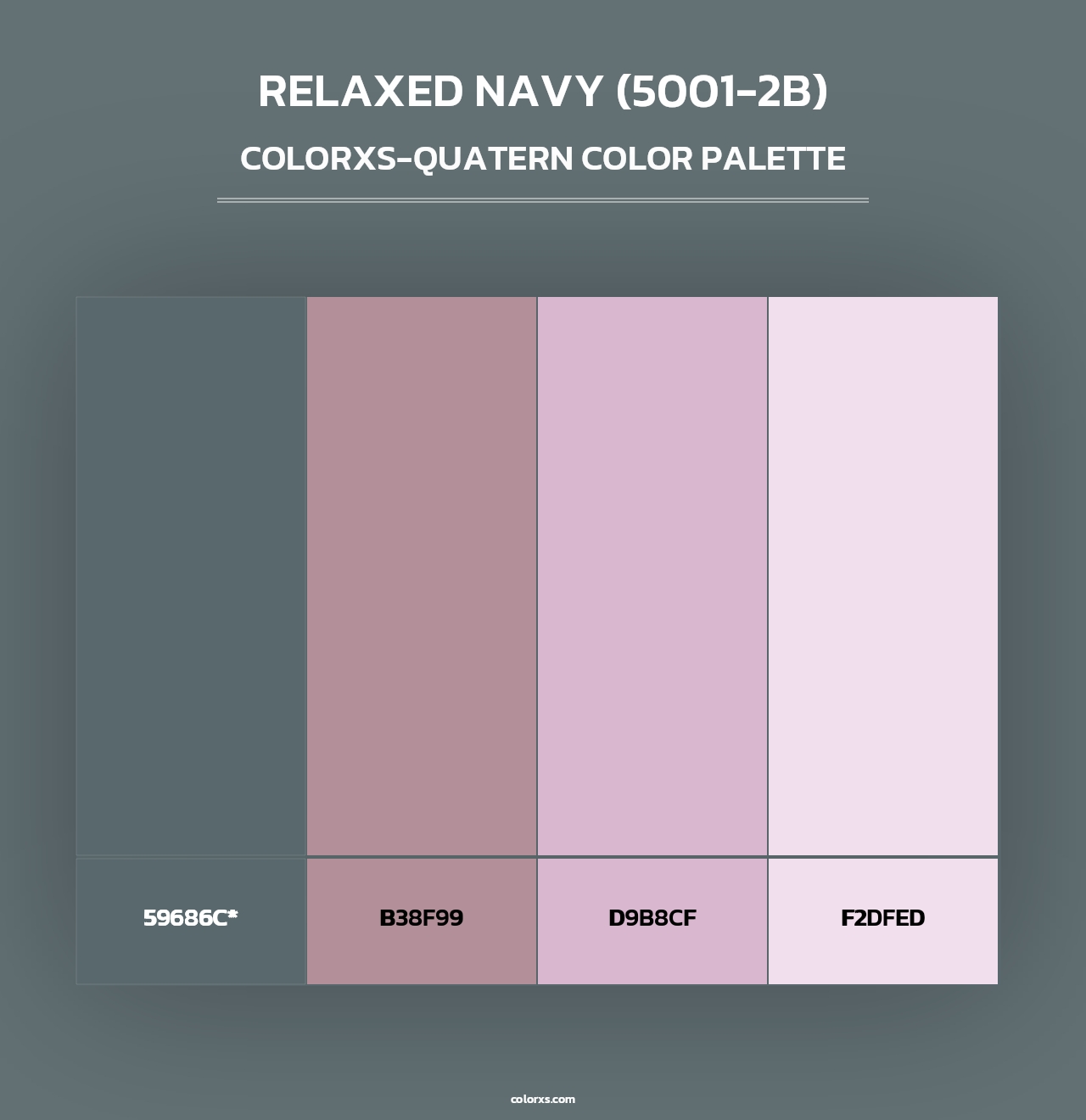 Relaxed Navy (5001-2B) - Colorxs Quad Palette