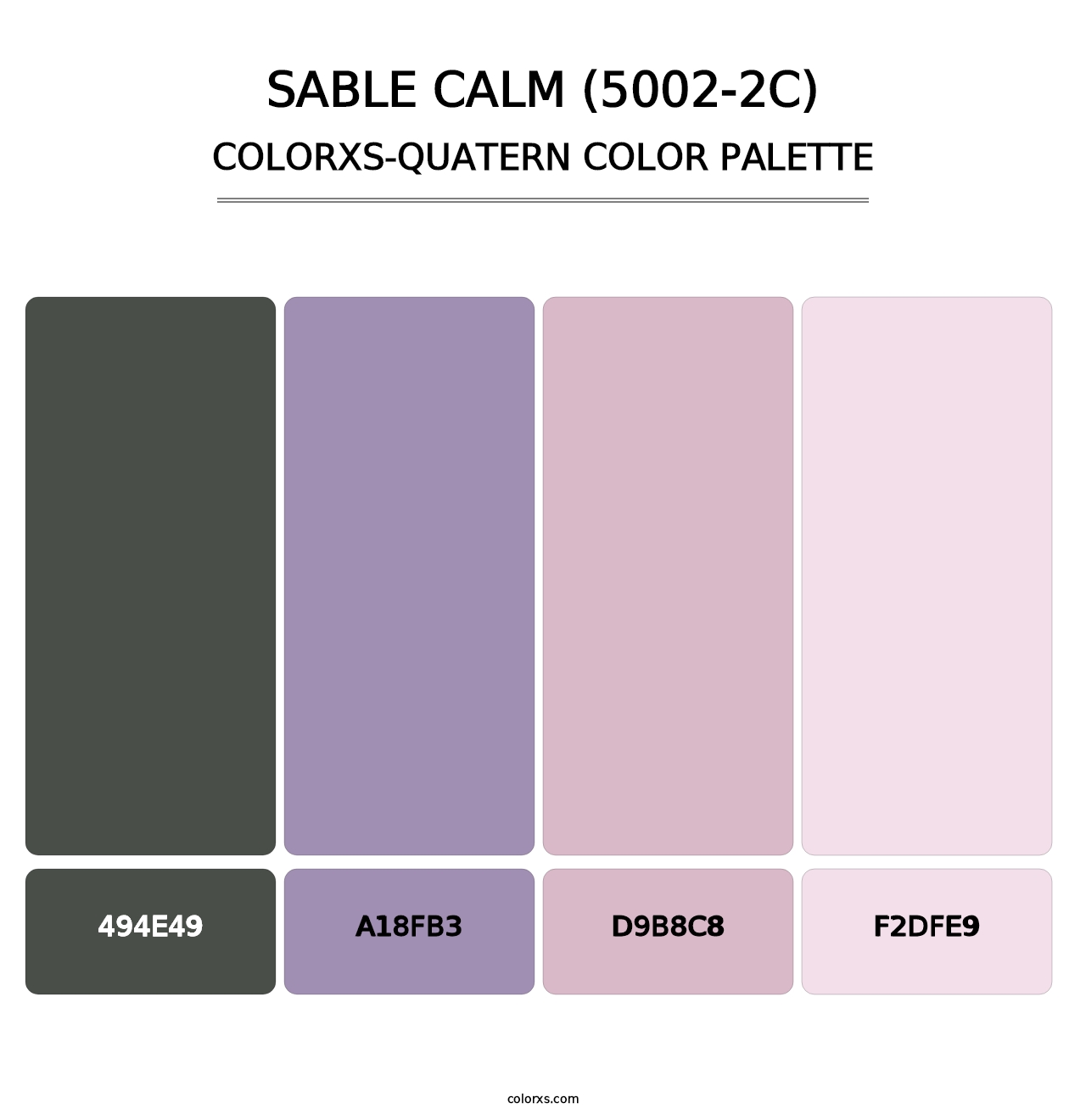 Sable Calm (5002-2C) - Colorxs Quatern Palette